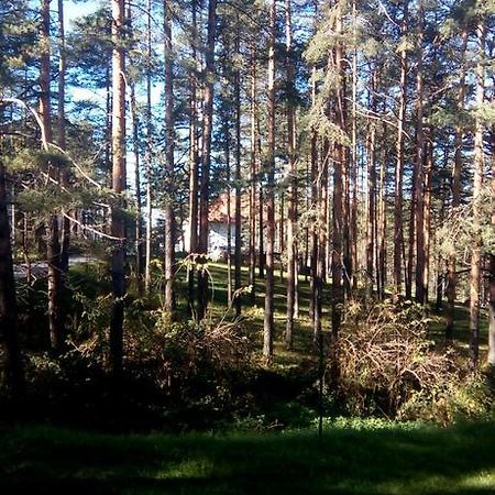Apartment 9 Gorska Vila Zlatibor Kültér fotó