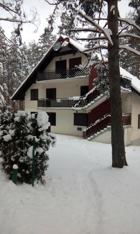 Apartment 9 Gorska Vila Zlatibor Kültér fotó