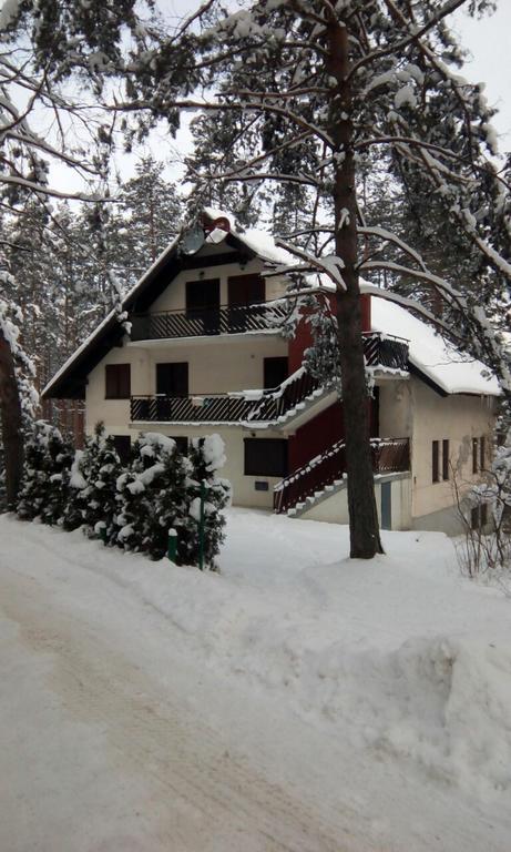 Apartment 9 Gorska Vila Zlatibor Kültér fotó