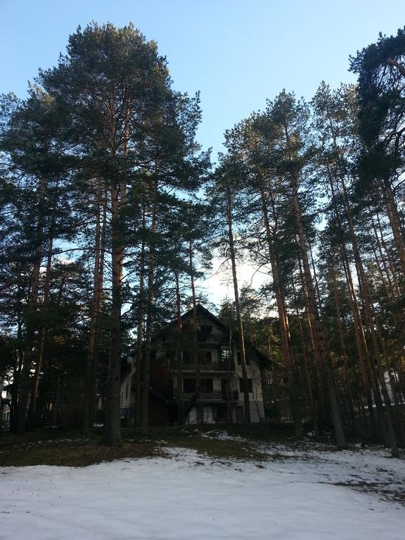 Apartment 9 Gorska Vila Zlatibor Kültér fotó