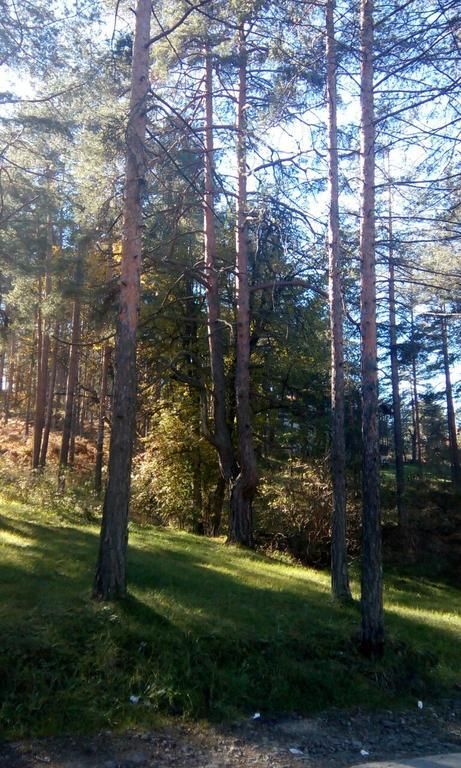 Apartment 9 Gorska Vila Zlatibor Kültér fotó